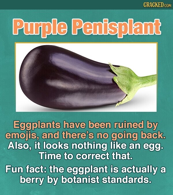 CRACKED.co Purple Penisplant Eggplants have been ruined by emojis, and there's no going back. Also, it looks nothing like an egg. Time to correct that. Fun fact: the eggplant is actually a berry by botanist standards.