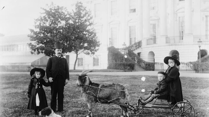 White House Zoo: The Strangest Presidential Pets