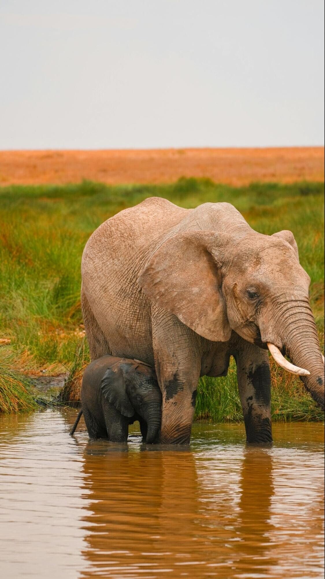 Fascinating Photos of Nature at its Most Exquisite