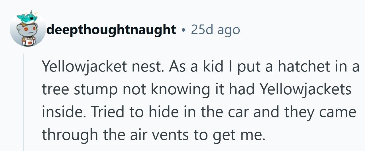 deepthoughtnaught . 25d ago Yellowjacket nest. As a kid I put a hatchet in a tree stump not knowing it had Yellowjackets inside. Tried to hide in the car and they came through the air vents to get me. 