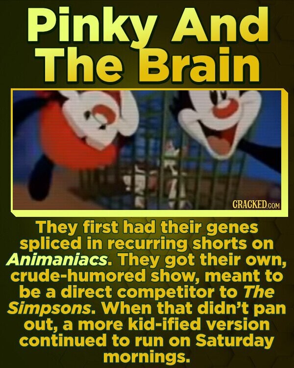 Pinky And The Brain CRACKED CO They first had their genes spliced in recurring shorts on Animaniacs. They got their own, crude-humored show, meant to be a direct competitor to The Simpsons. When that didn't pan out, a more kid-ified version continued to run on Saturday mornings. 