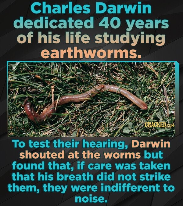 Charles Darwin dedicated 40 years of his life studying earthworms. GRACKED COM To test their hearing, Darwin shouted at the worms but found that, if care was taken that his breath did not strike them, they were indifferent to noise.