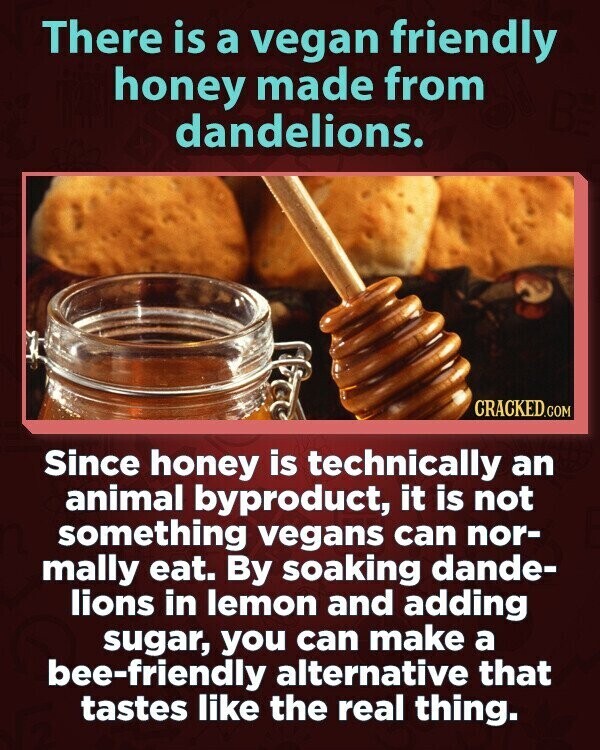 There is a vegan friendly honey made from dandelions. CRACKED.COM Since honey is technically an animal byproduct, it is not something vegans can nor- mally eat. By soaking dande- lions in lemon and adding sugar, you can make a bee-friendly alternative that tastes like the real thing.