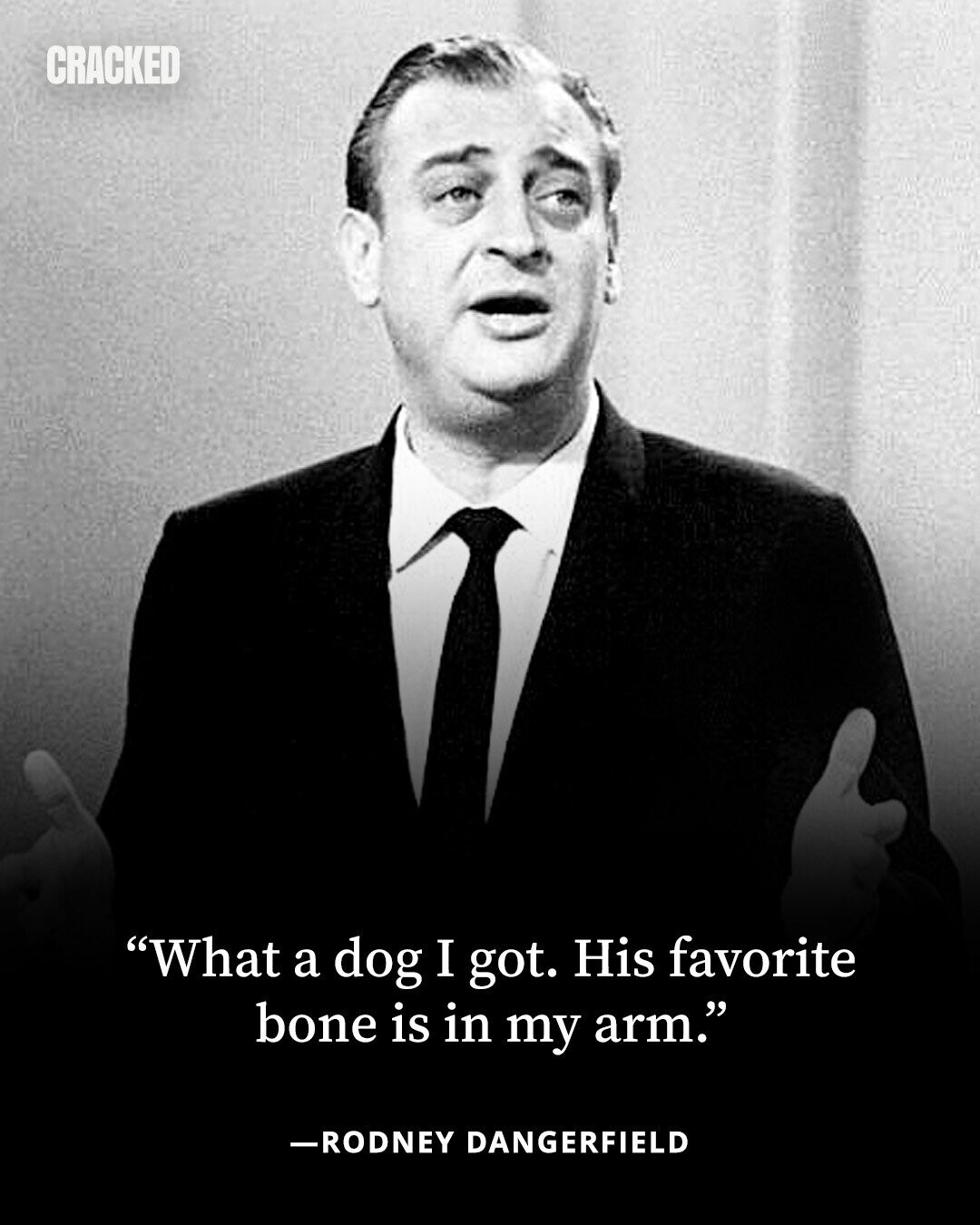 CRACKED What a dog I got. His favorite bone is in my arm. -RODNEY DANGERFIELD 