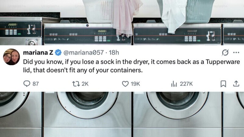 44 of the Funniest Burns from the Week of December 15, 2025