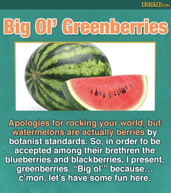 CRACKED.C Big OI Greenberries Apologies for rocking your world, but watermelons are actually berries by botanist standards. So, in order to be accepted among their brethren the blueberries and blackberries, I present, greenberries. Big ol because... c'mon, let's have some fun here.