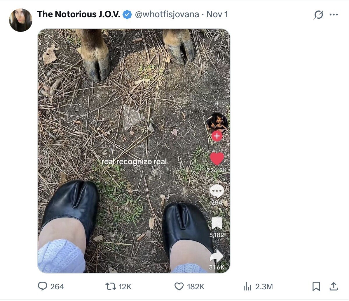 The Notorious J.O.V. @whotfisjovana Nov 1 G ... + real recognize real. 226 2K 294 5,182 31.6K 264 12K 182K del 2.3M 