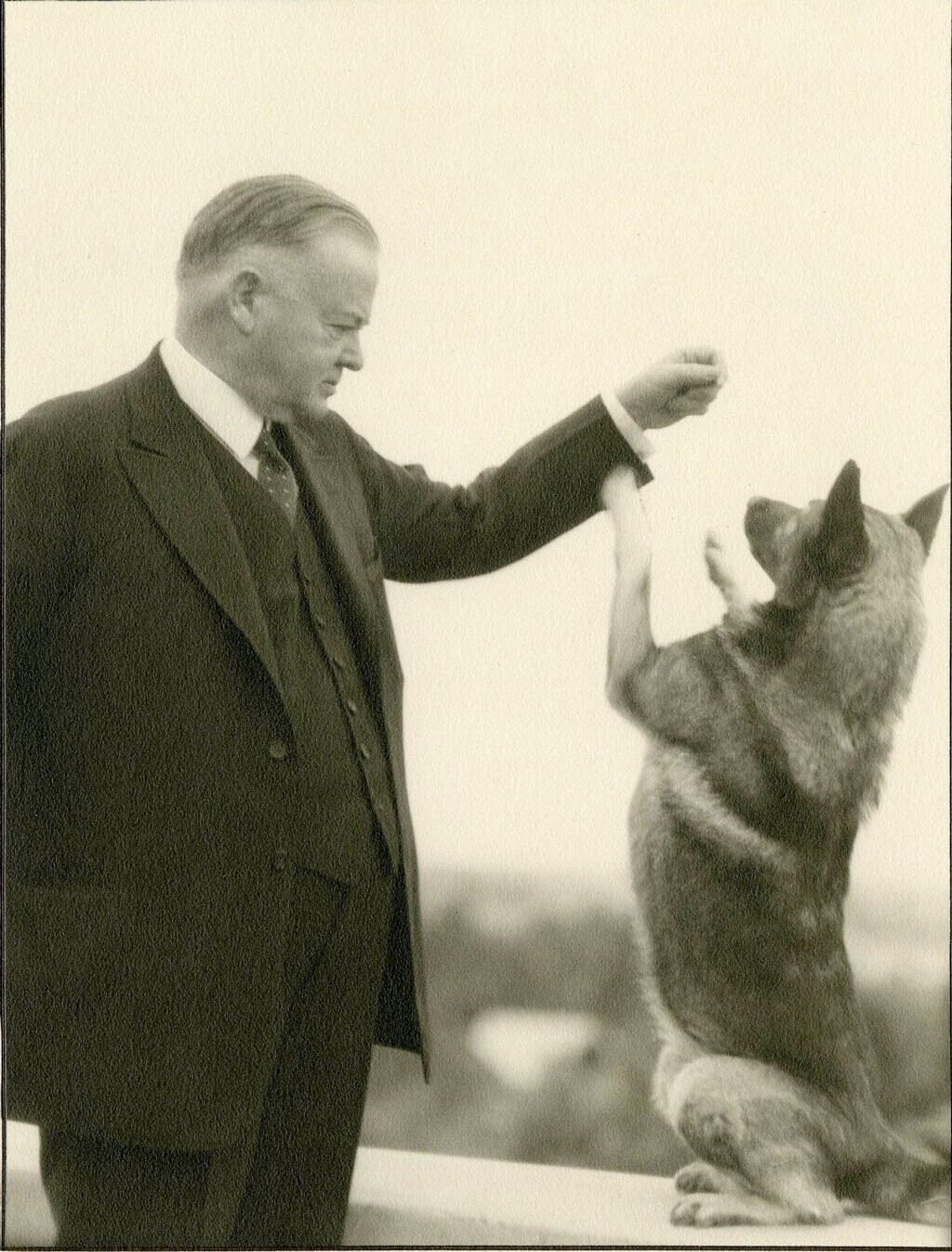 White House Zoo: The Strangest Presidential Pets