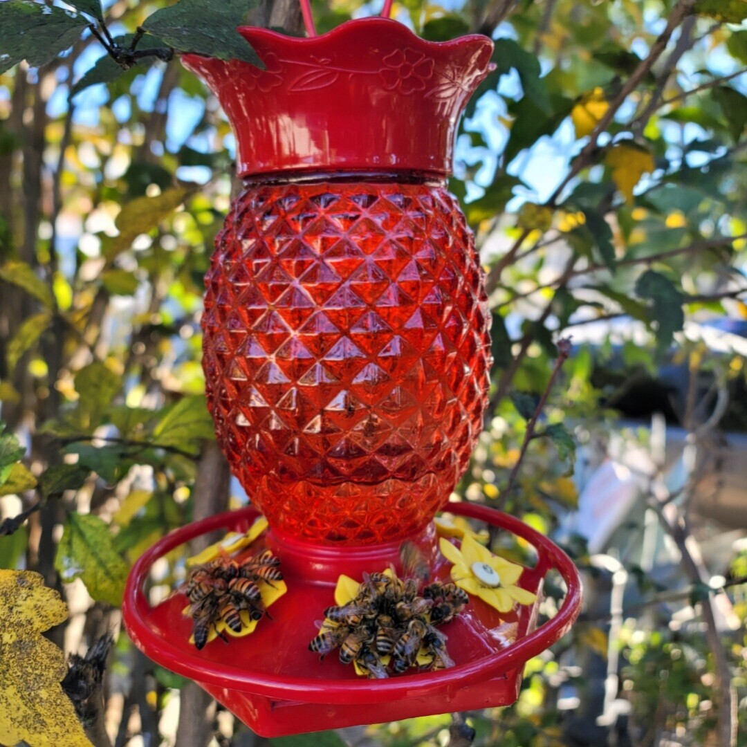 20 Questionable Pics With a High Chance of 'Eye Roll'