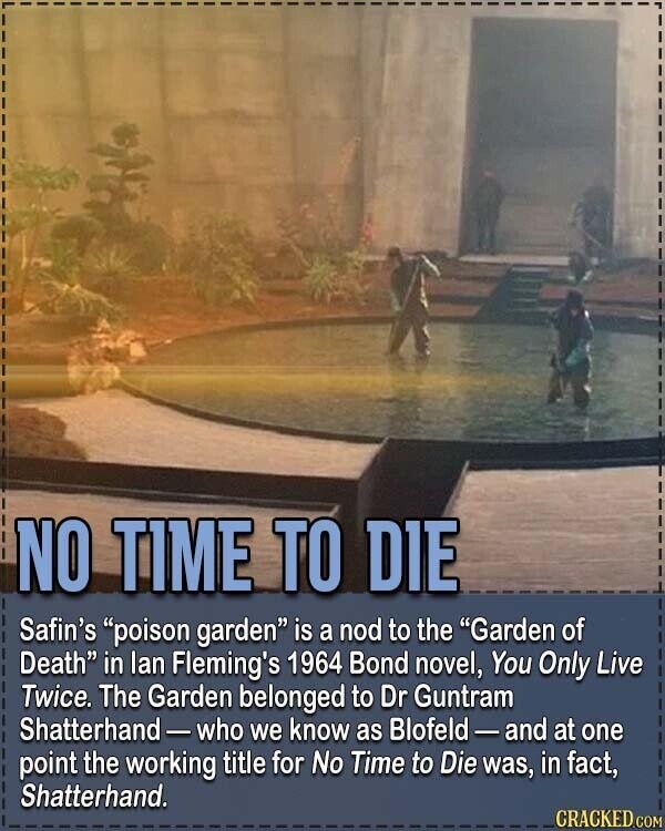 NO TIME TO DIE Safin's poison garden is a nod to the Garden of Death in lan Fleming's 1964 Bond novel, You Only Live Twice. The Garden belonged to Dr Guntram Shatterhand-who we know as Blofeld-and at one point the working title for No Time to Die was, in fact, Shatterhand. CRACKED.COM