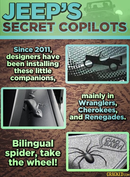 JEEP'S SECRET COPILOTS Since 2011, designers have been installing these little companions, mainly in Wranglers, Cherokees, and Renegades. CIAO Bilingual ЗАВУ! spider, take the wheel! CRACKED.COM