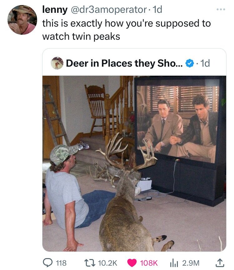 lenny @dr3amoperator - 1d this is exactly how you're supposed to watch twin peaks Deer in Places they Sho... 1d 118 10.2K 108K 2.9M