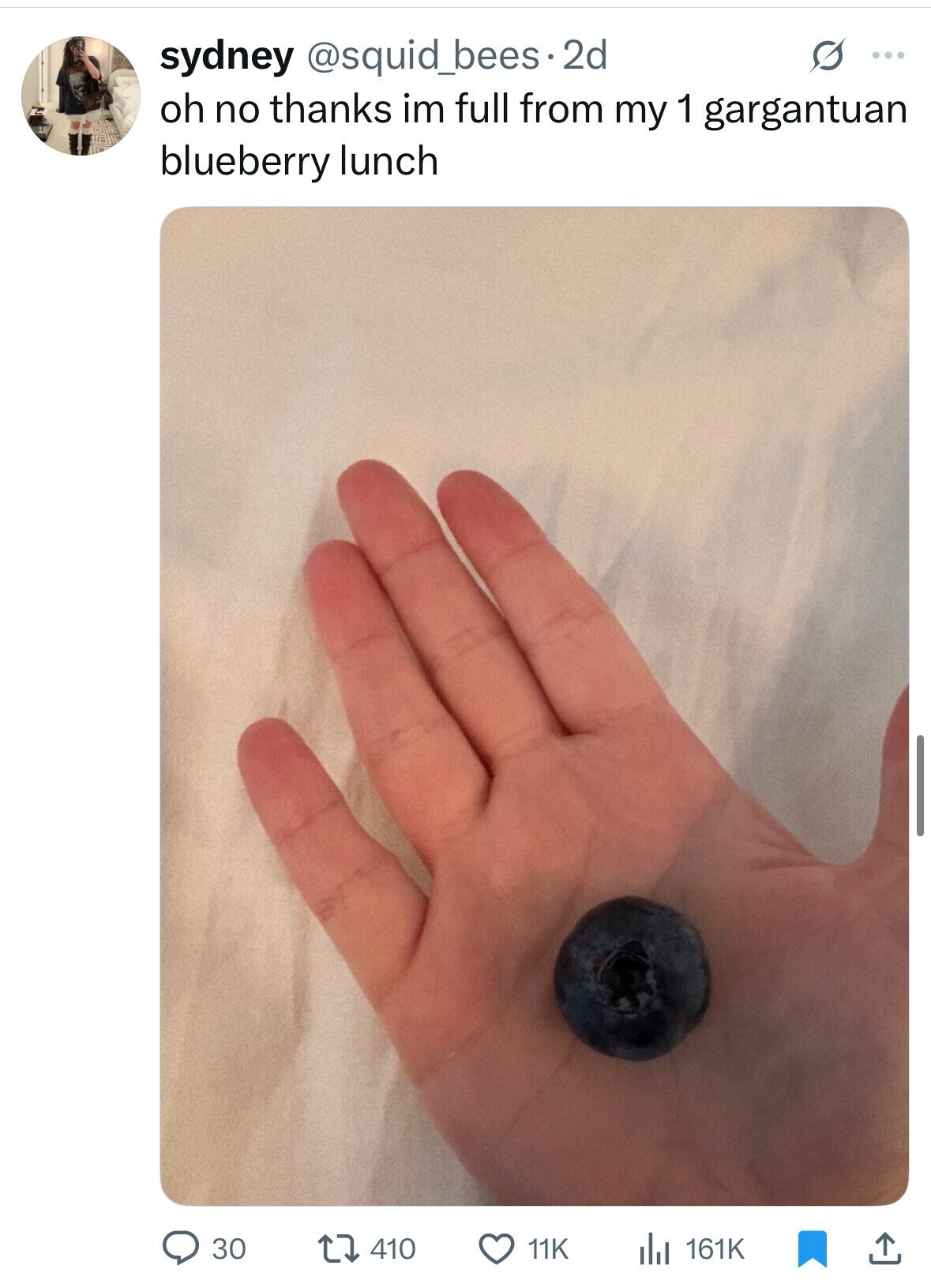 sydney @squid_bees.2d S ... oh no thanks im full from my 1 gargantuan blueberry lunch 30 410 161K 11K 