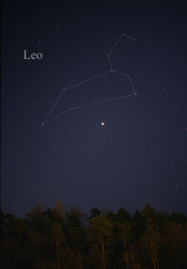 Leo
