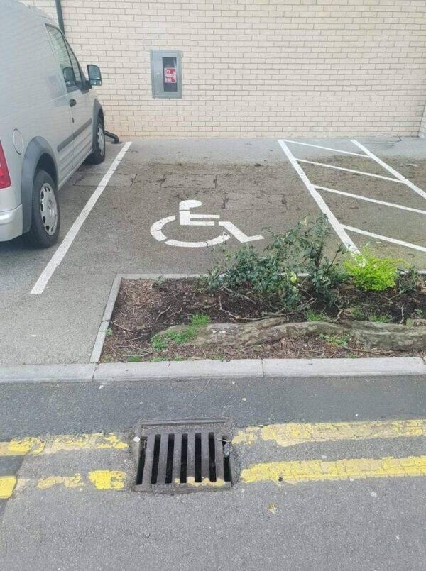 Photos Where Nobody Knew What They Were Doing