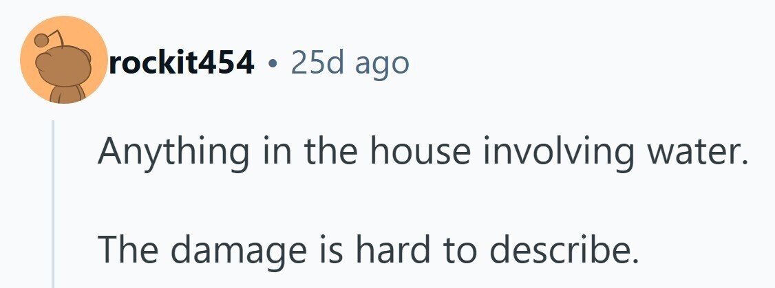 rockit454 . 25d ago Anything in the house involving water. The damage is hard to describe. 