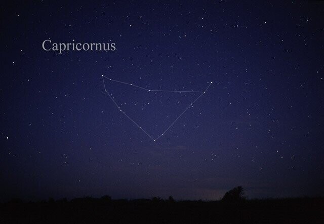 Capricornus
