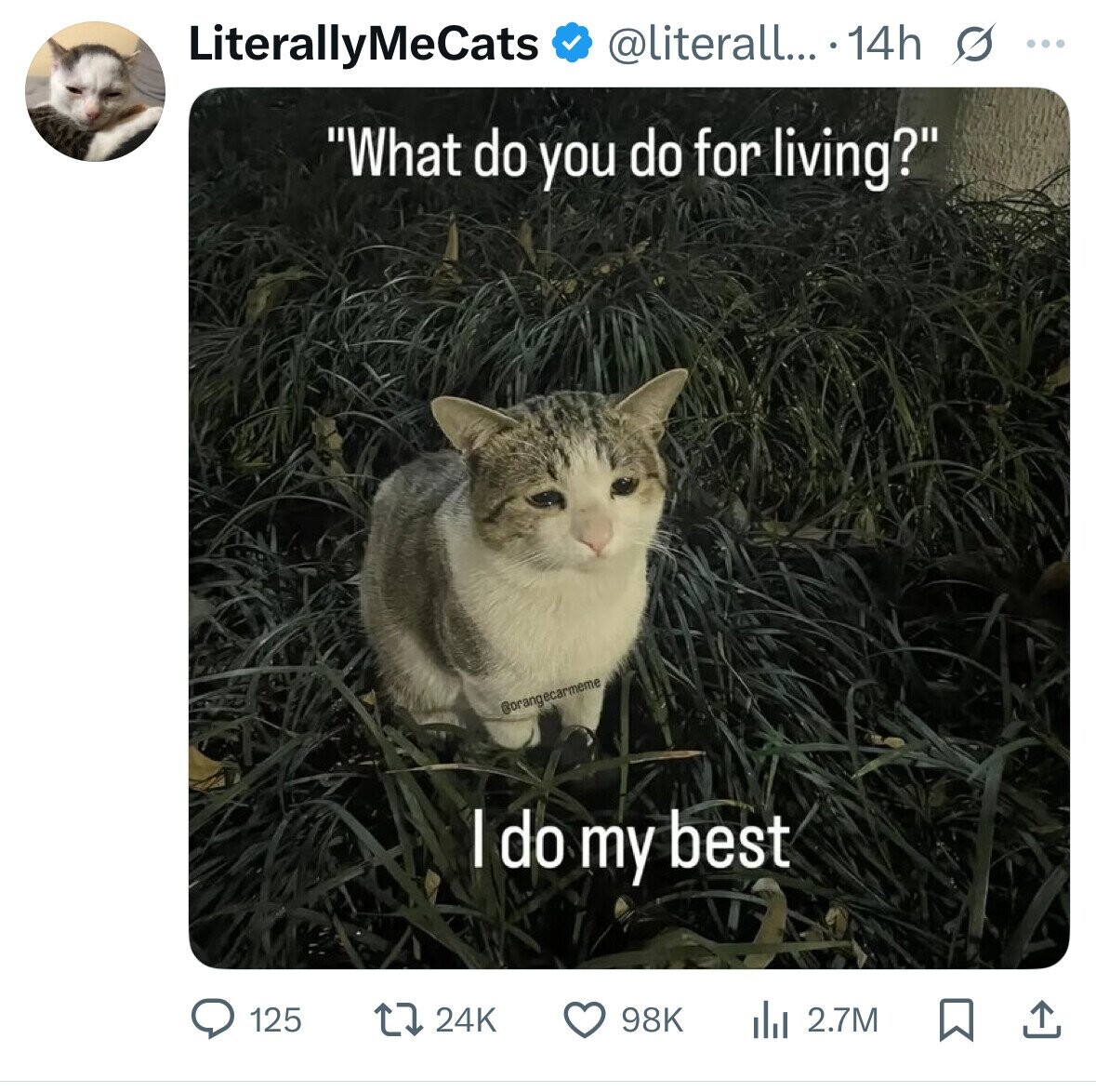 LiterallyMeCats @literall... 14h s ... What do you do for living? Borangecarmeme | do my best 125 24K 98K 2.7M 