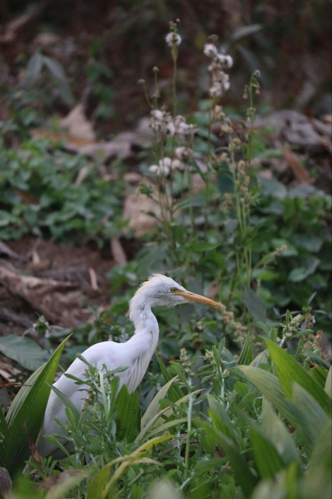 Fascinating Photos of Nature at its Most Exquisite