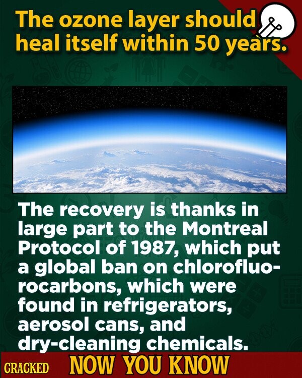The ozone layer should heal itself within 50 years. The recovery is thanks in large part to the Montreal Protocol of 1987, which put a global ban on chlorofluo- rocarbons, which were found in refrigerators, aerosol cans, and dry-cleaning chemicals. CRACKED NOW YOU KNOW