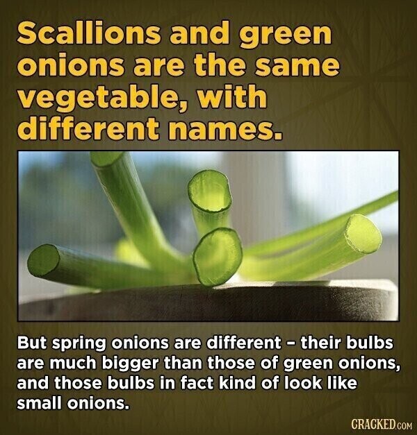 Scallions and green onions are the same vegetable, with different names. But spring onions are different - their bulbs are much bigger than those of green onions, and those bulbs in fact kind of look like small onions. CRACKED.COM