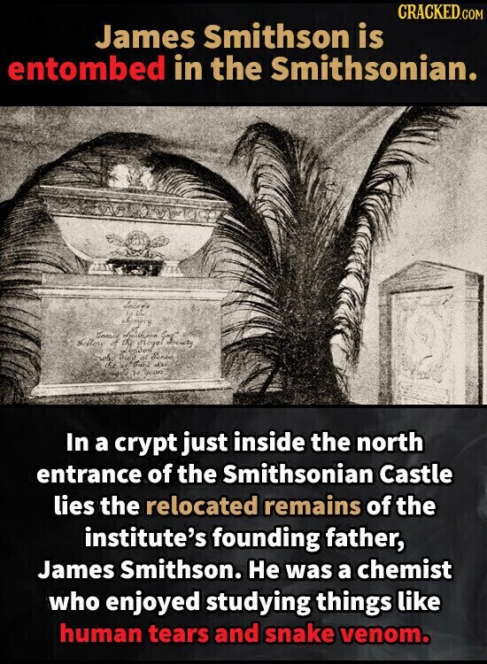 CRACKED.COM James Smithson is entombed in the Smithsonian. decre's la Via exemory Famil Sellow pym Bied at Sense of Society the اليوم N year In a crypt just inside the north entrance of the Smithsonian Castle lies the relocated remains of the institute's founding father, James Smithson. Не was a chemist who enjoyed studying things like human tears and snake venom.