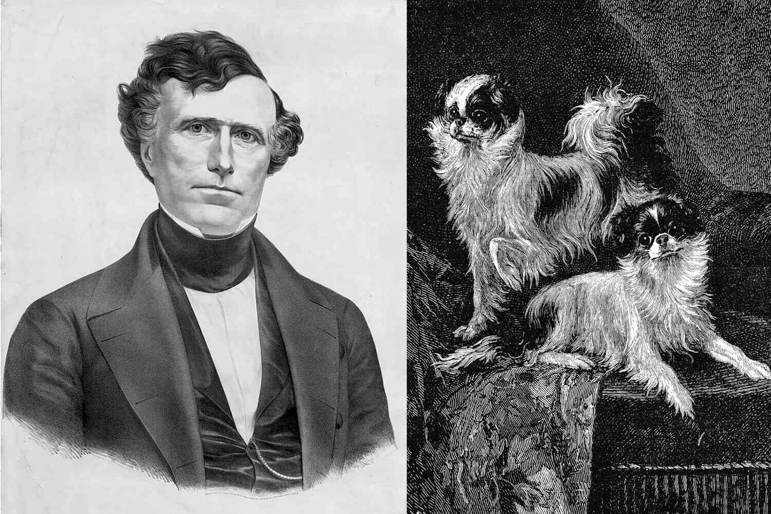 White House Zoo: The Strangest Presidential Pets