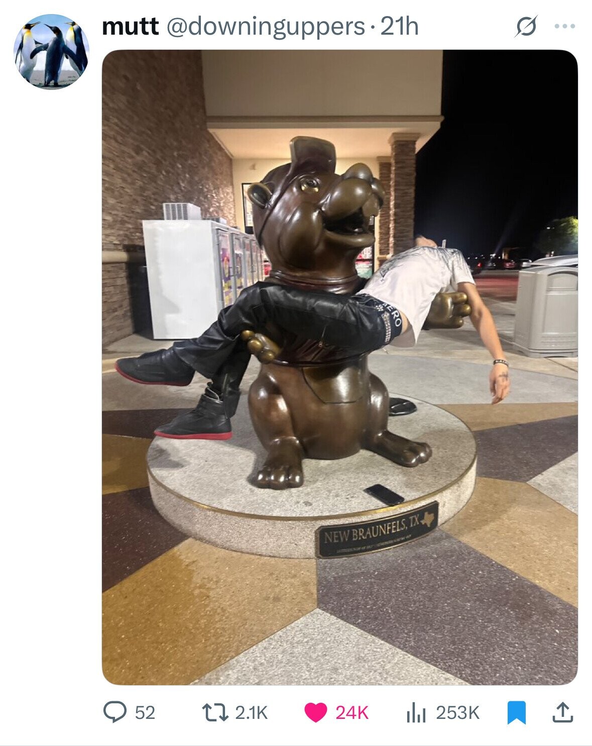 mutt @downinguppers : 21h G ... AERO NEW BRAUNFELS, TX - NOT a - 52 2.1K 24K 253K 
