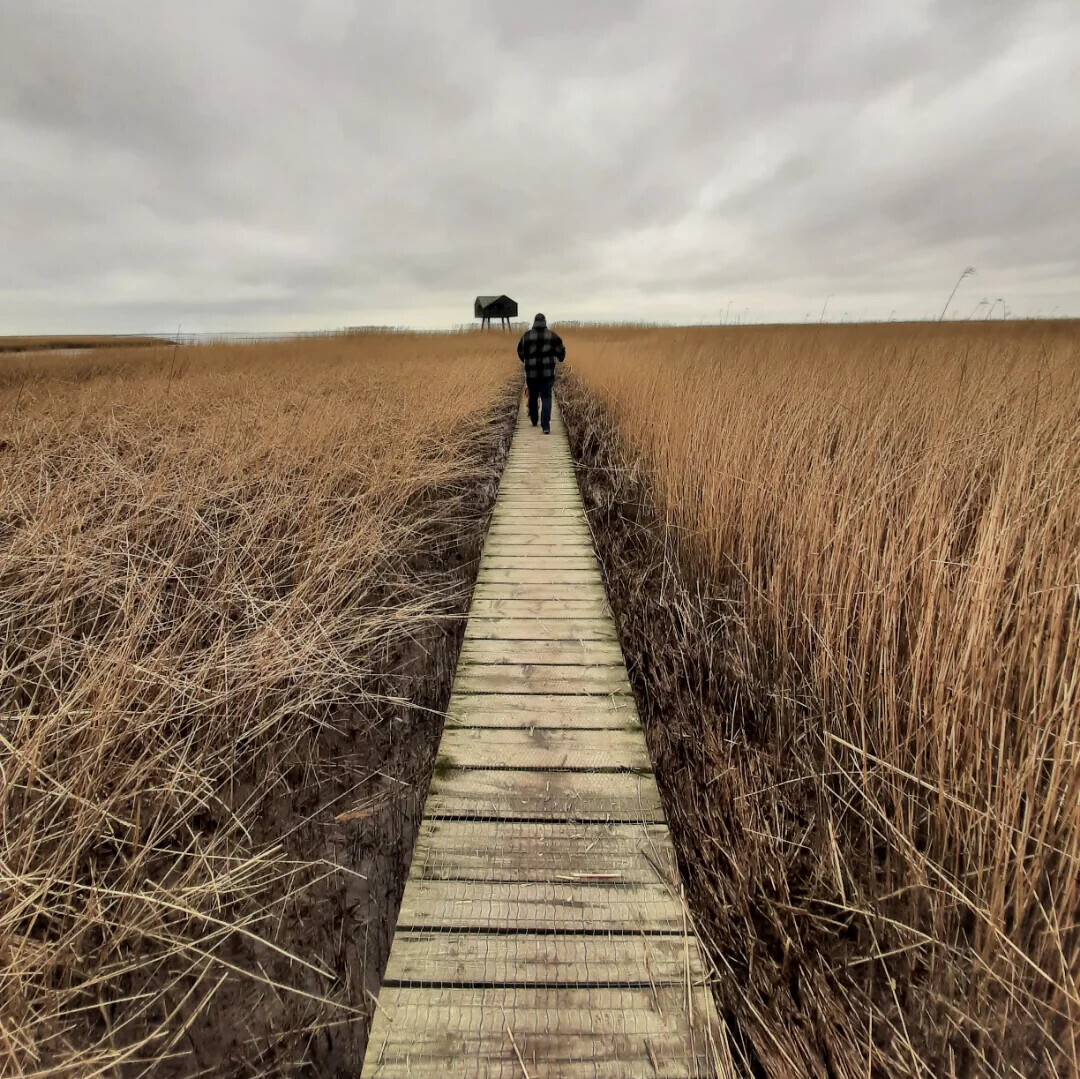 Photos That Could Be Album Covers, But Shouldn’t Be