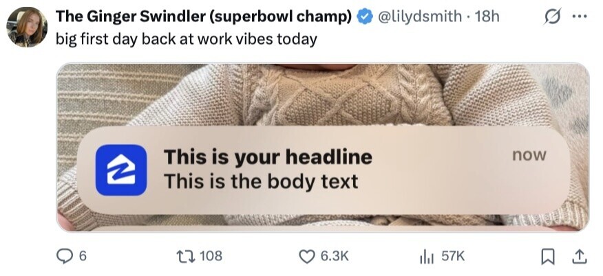 The Ginger Swindler (superbowl champ) @lilydsmith - 18h ... big first day back at work vibes today This is your headline now This is the body text 6 108 6.3K 57K