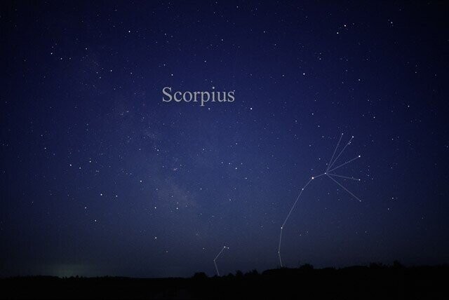Scorpius