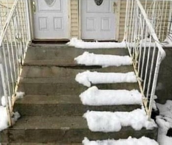 Photos Where Nobody Knew What They Were Doing