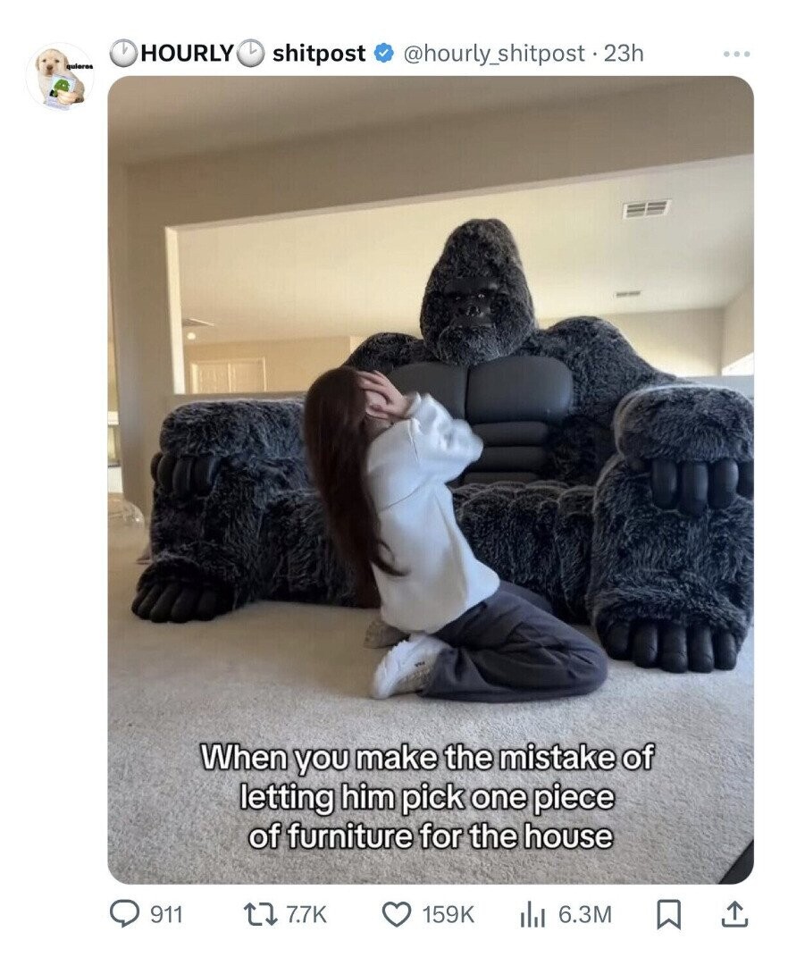 HOURLY L shitpost @hourly_shitpost.23h ... quieres When you make the mistake of letting him pick one piece of furniture for the house 911 7.7K 159K 6.3M 