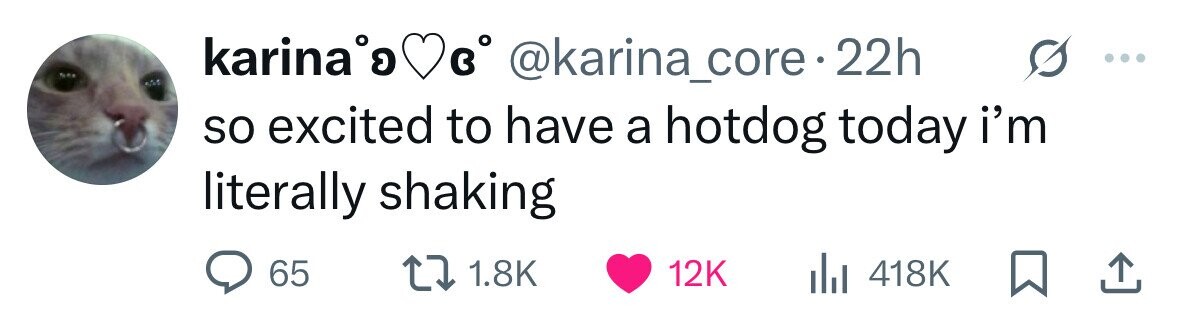 karina's в° @karina_core 22h so excited to have a hotdog today i'm literally shaking 65 1.8K 12K 418K 