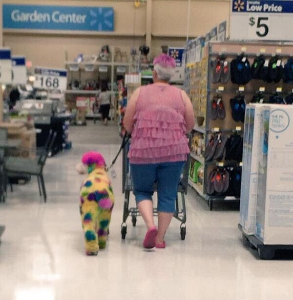 Disney Low Price Garden Center $5 168 14 7% Services