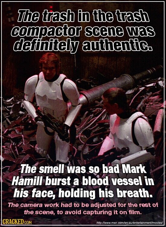 The trash in the trash compactor scene was definitely authentic. The smell was so bad Mark Hamill burst a blood vessel in his face, holding his breath. The camera work had to be adjusted for the rest of the scene, to avoid capturing it on film. CRACKED.COM http://www.msn.com/en-au/entertainment/movies/