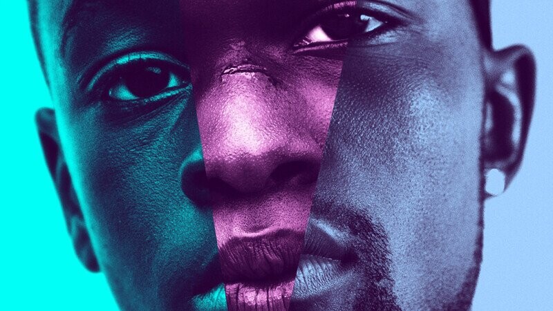 30 Random Bits of Trivia We Had to Call a Plumber to Fish Out of the Sink Before Our Wife Got Home