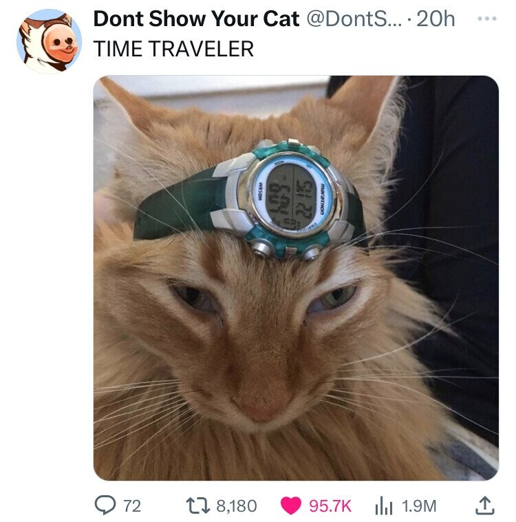 Dont Show Your Cat @DontS... .20h ... TIME TRAVELER WRSOM marathon C-MU LNO C 22 15 72 8,180 95.7K 1.9M