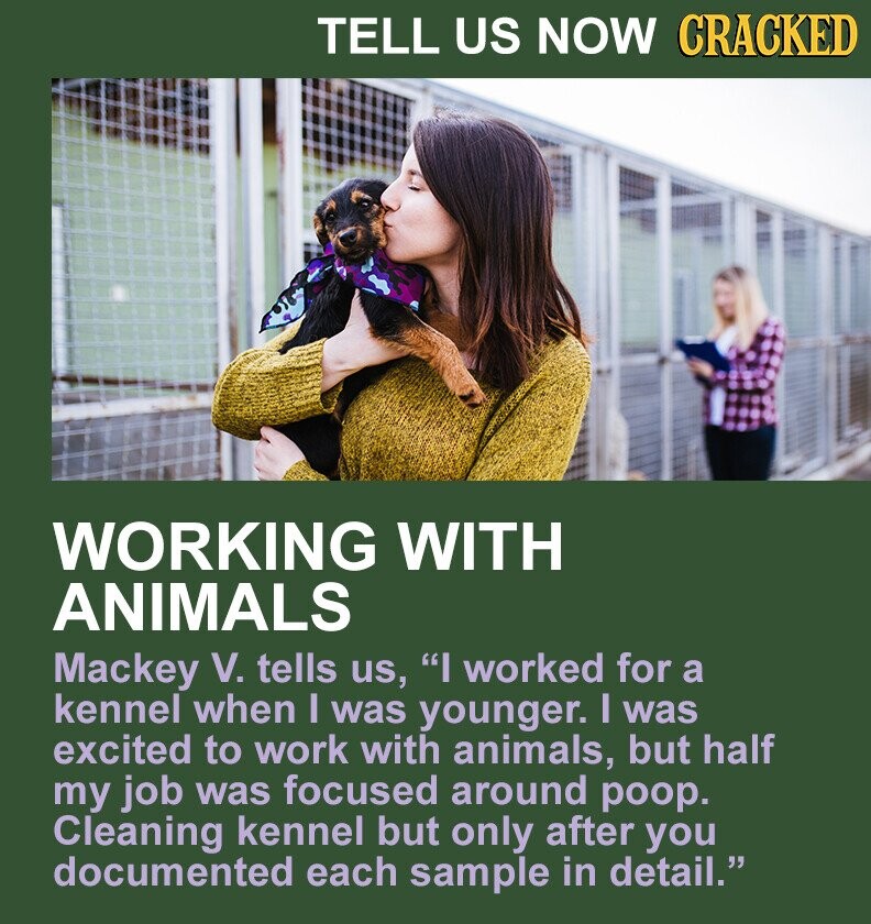 TELL US NOW CRACKED WORKING WITH ANIMALS Mackey V. tells us, I worked for a kennel when I was younger. I was excited to work with animals, but half my job was focused around poop. Cleaning kennel but only after you documented each sample in detail.