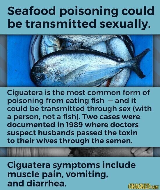 Seafood poisoning could be transmitted sexually. Ciguatera is the most common form of poisoning from eating fish - and it could be transmitted through sex (with a person, not a fish). Two cases were documented in 1989 where doctors suspect husbands passed the toxin to their wives through the semen. Ciguatera symptoms include muscle pain, vomiting, and diarrhea. CRACKED.COM