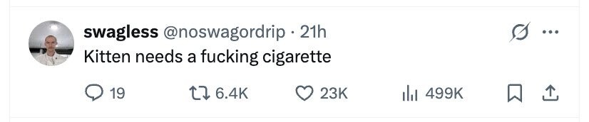 swagless @noswagordrip 21h ... Kitten needs a fucking cigarette 19 6.4K 23K 499K