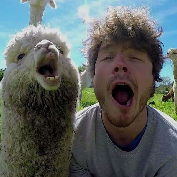 Photos from the Before-Disaster Selfie Hall of Fame