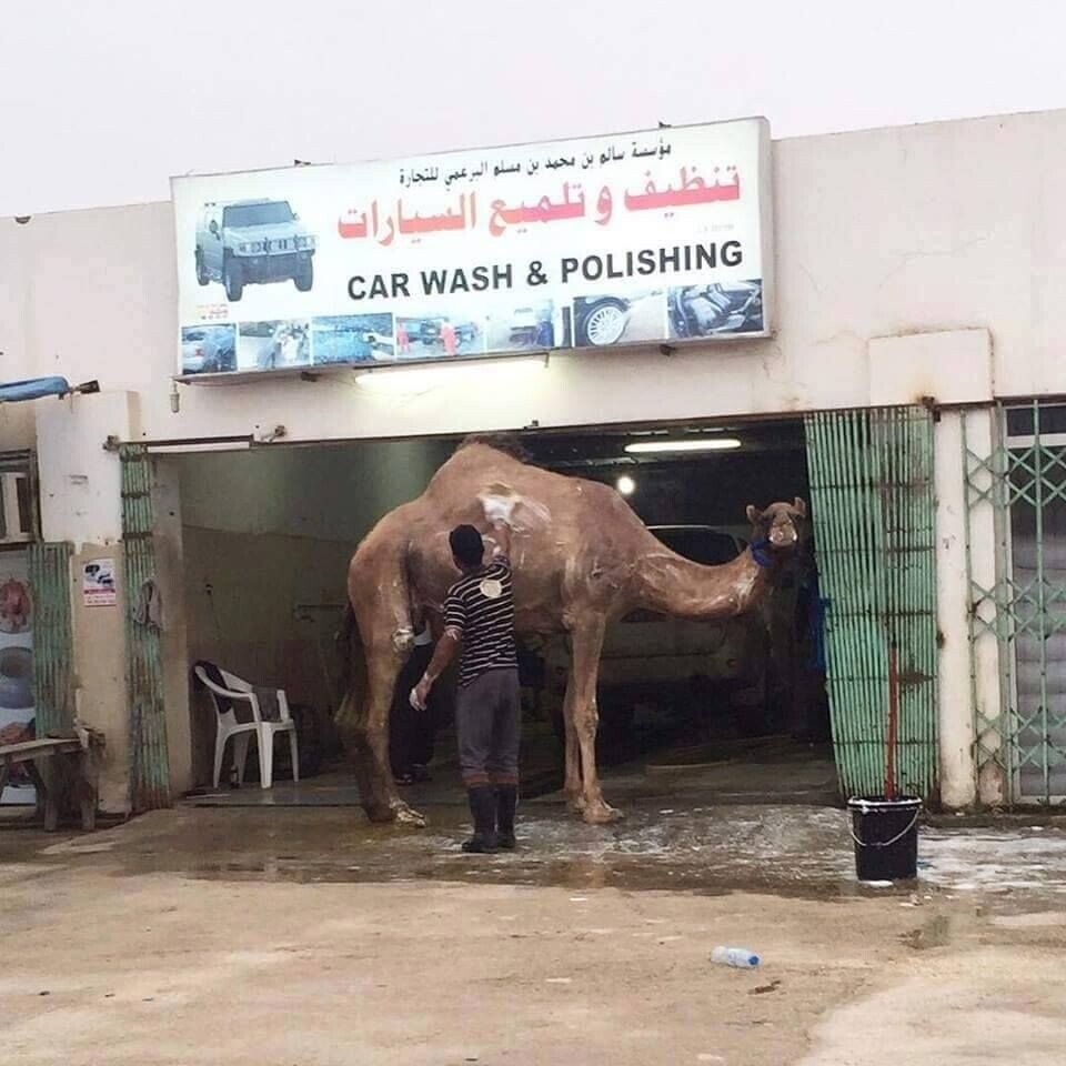 Photos Where You Notice the Chaos Right Away