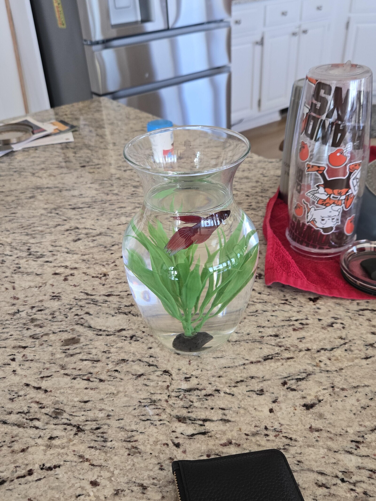 N2 that SNA OND OSA BB SNMU