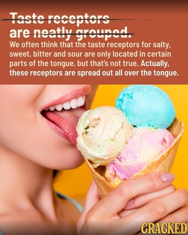 Taste receptors are neatly grouped. We often think that the taste receptors for salty, sweet, bitter and sour are only located in certain parts of the tongue, but that's not true. Actually, these receptors are spread out all over the tongue. CRACKED