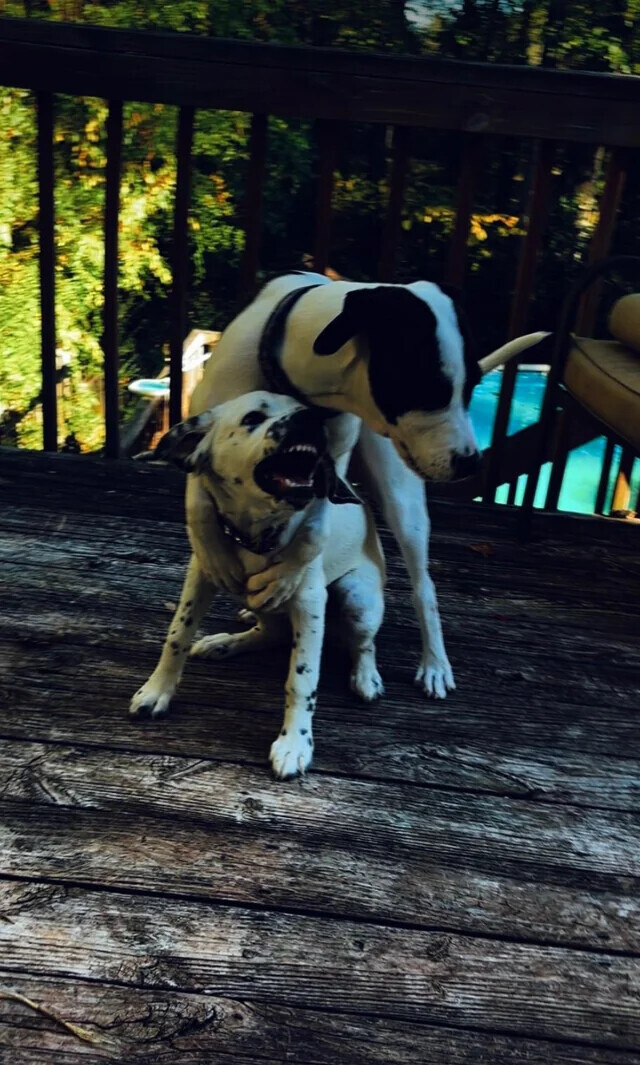 Photos That Could Be Album Covers, But Shouldn’t Be