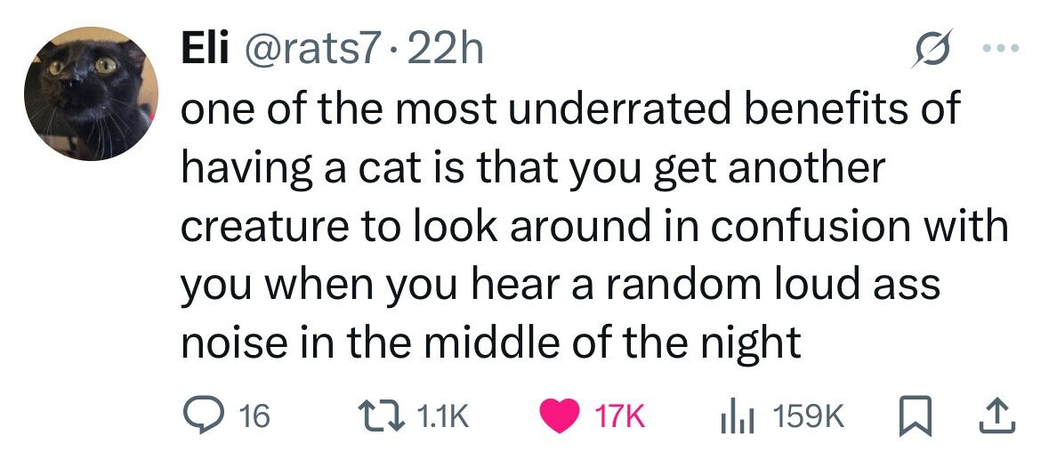 Eli @rats7.22h one of the most underrated benefits of having a cat is that you get another creature to look around in confusion with you when you hear a random loud ass noise in the middle of the night 16 1.1K 17K del 159K 