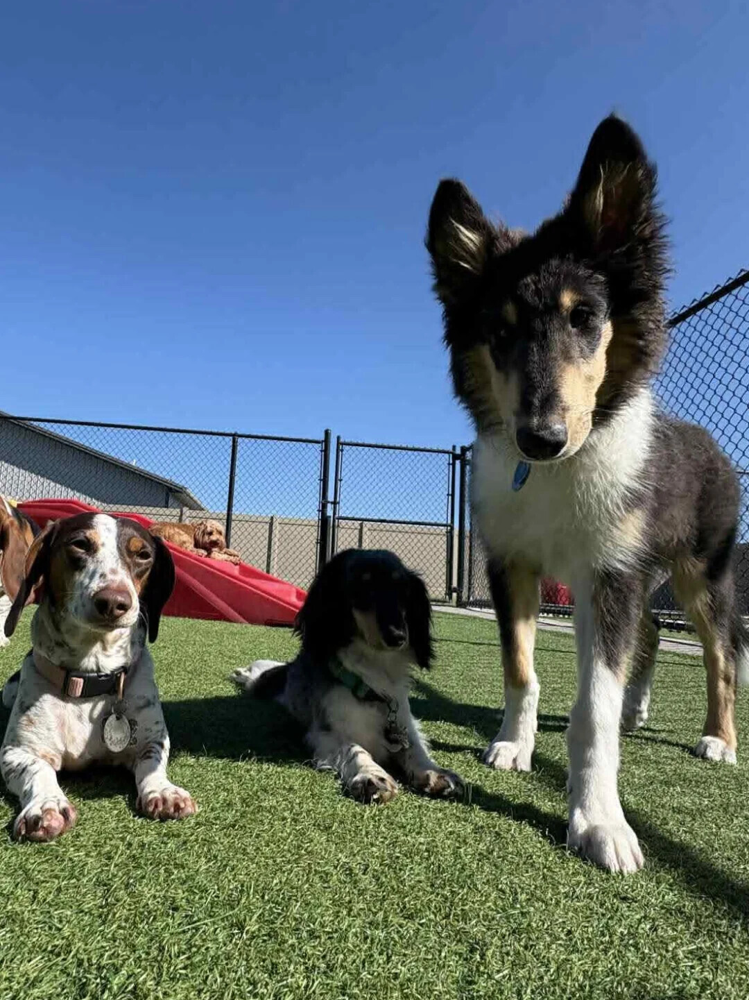 Photos That Could Be Album Covers, But Shouldn’t Be