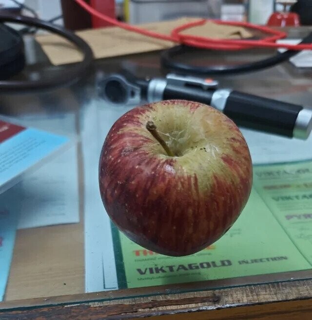 - - VIKTAGOLD INJECTION - -