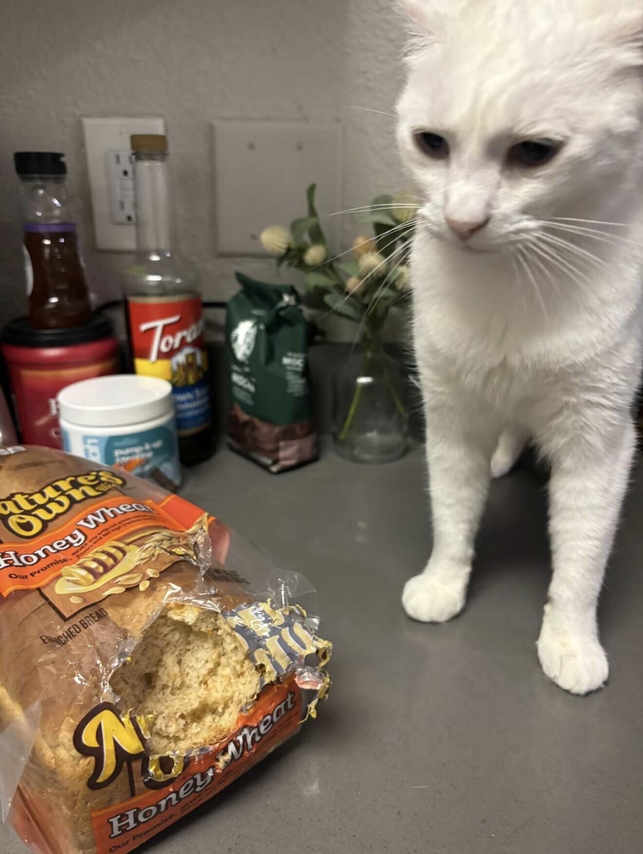 Tora - - 1 ال MICH MASIC - - - I - ch pumpke OTHER Honey Our Promise. NEVER flavors Wheat NO Wigh 1 E ICHEO BREAD DIU N Our Honey Promise. a Wheat